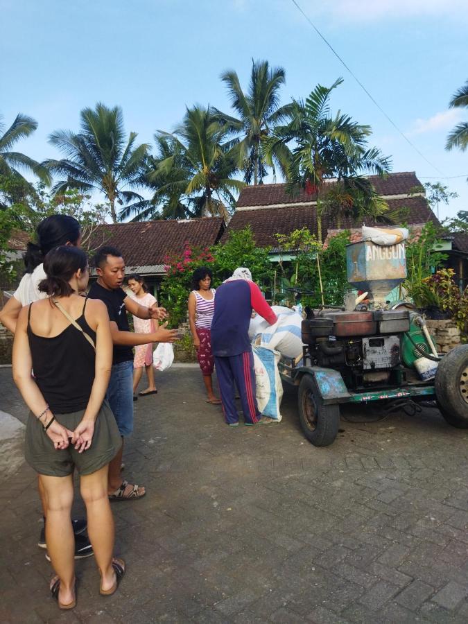 Nio Homestay And Tour Licin Extérieur photo